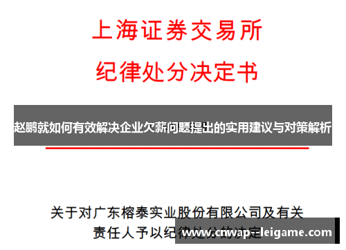 赵鹏就如何有效解决企业欠薪问题提出的实用建议与对策解析