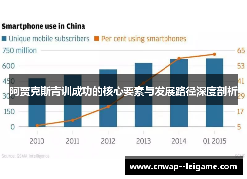 阿贾克斯青训成功的核心要素与发展路径深度剖析 阿贾克斯青训成功的核心要素与发展路径深度剖析