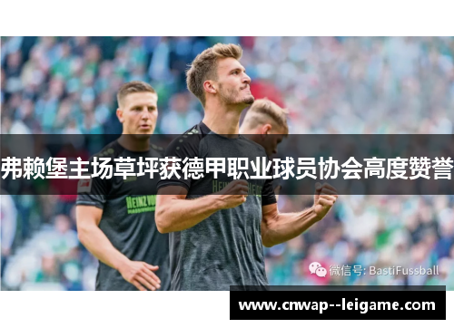 弗赖堡主场草坪获德甲职业球员协会高度赞誉 弗赖堡主场草坪获德甲职业球员协会高度赞誉